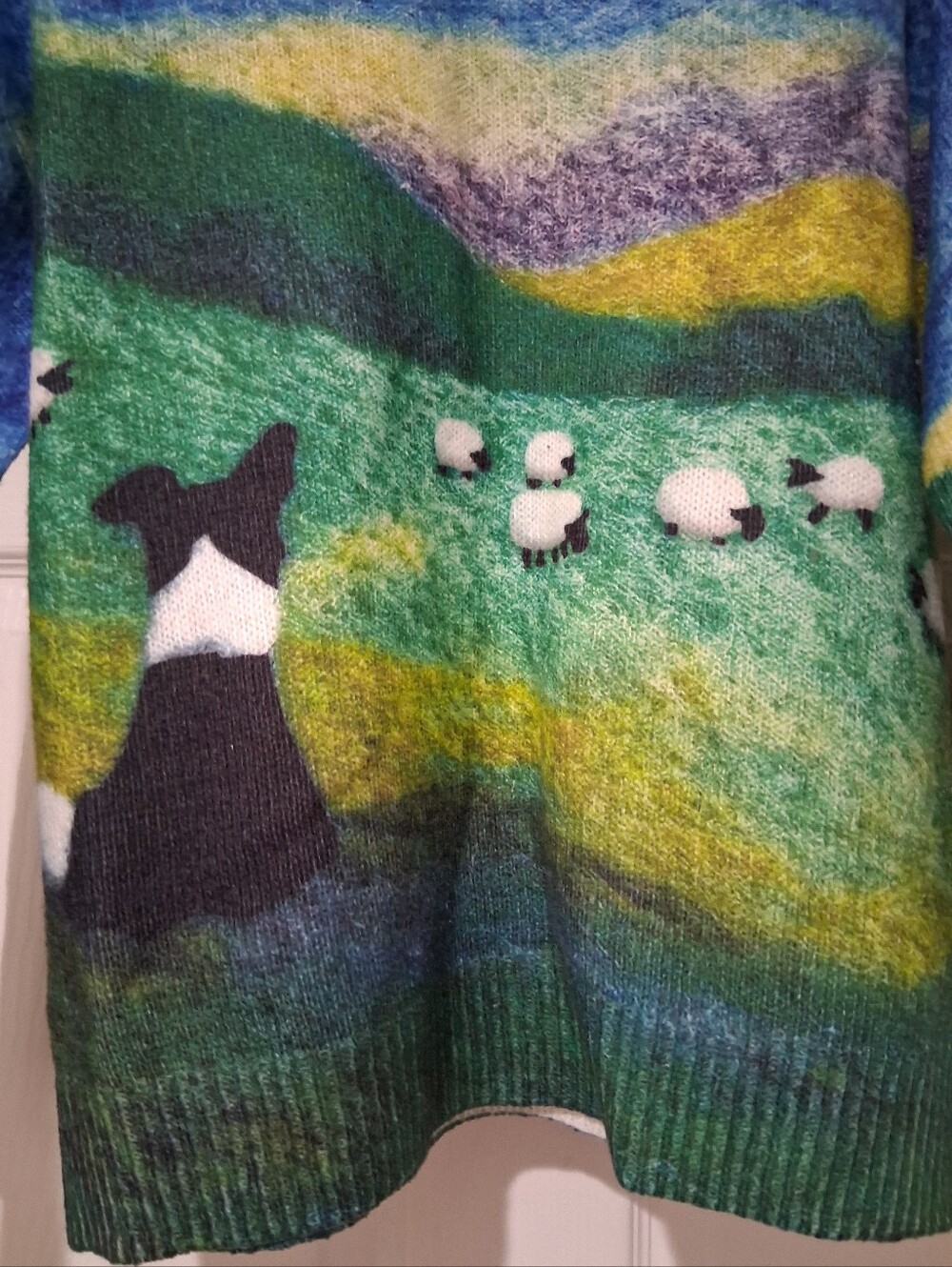 Gorgeous Winter Sweater - Picture 5 of 10